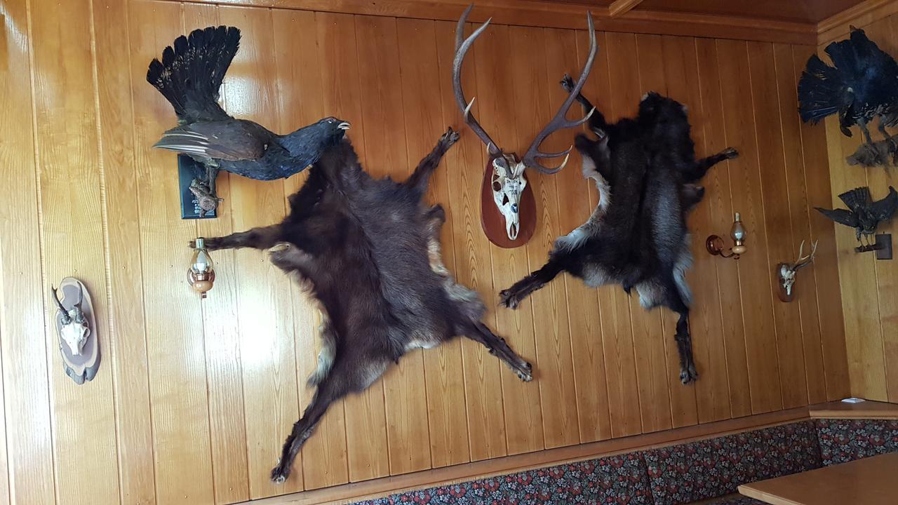 Gasthof Fair Mörtschach 外观 照片